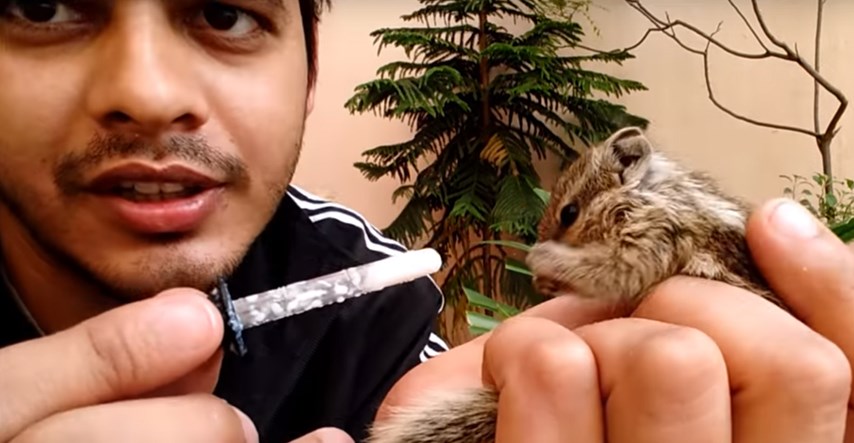 VIDEO Spasio je malu vjevericu, ali nije očekivao da će se ovako nešto desiti