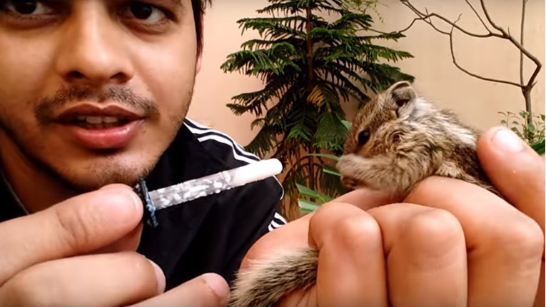 VIDEO Spasio je malu vjevericu, ali nije očekivao da će se ovako nešto dogoditi