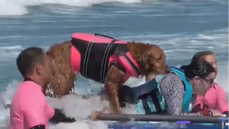 Njena surferska karijera počela je sasvim neočekivano