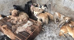1,5 milijuna ljudi potpisalo peticiju protiv monstruoznog Yulin festivala u Kini