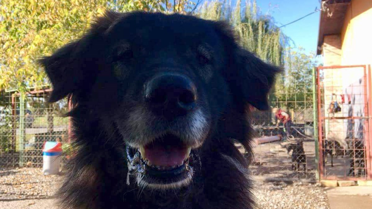 Zen ima 10 godina i živi u azilu. Pomozite mu da pronađe svoju obitelj