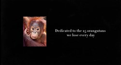Što je palmino ulje i zašto je problematično za orangutane?