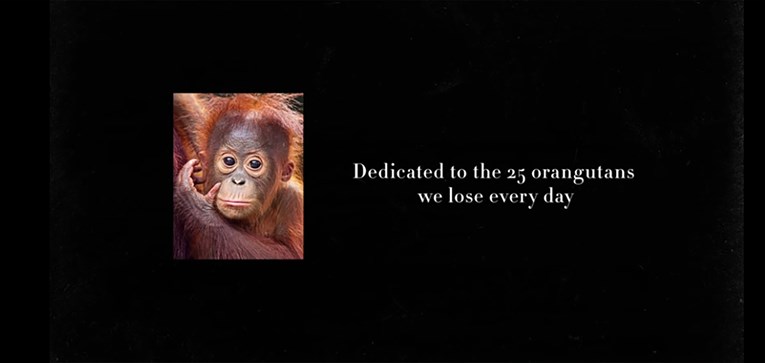 Što je palmino ulje i zašto je problematično za orangutane?