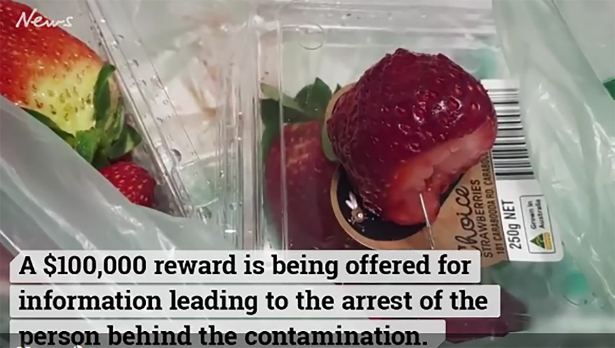 Australski premijer: Igle u jagodama su teroristički čin