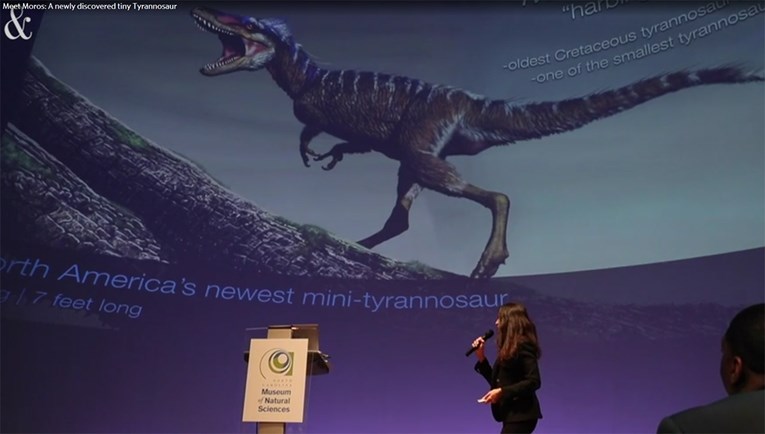 Paleontolozi istražuju kada i kako su tiranosauri postali predatori