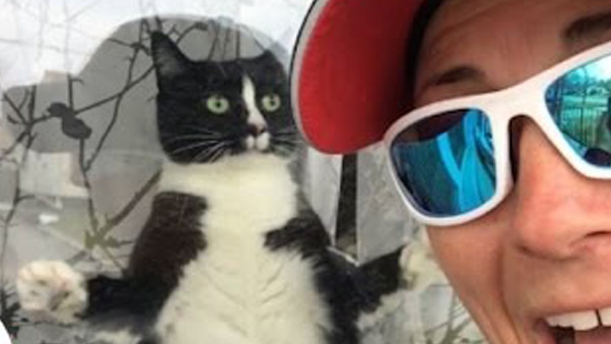 Ovaj mačak ima poseban način na koji pozdravlja poštara