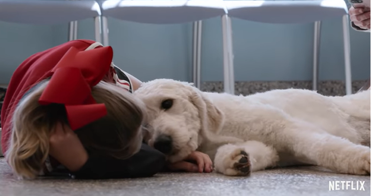 Izašao je trailer za novi dokumentarac o psima koji će vas totalno rascmoljiti