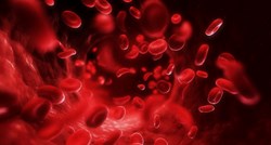 Naša krv možda dolazi iz do sada nepoznatog izvora, tvrde znanstvenici