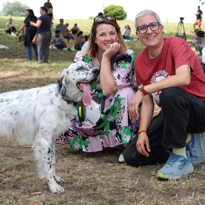 Osijek ima jedan od najvećih i najuređenijih azila: Godišnje udome oko 290 pasa