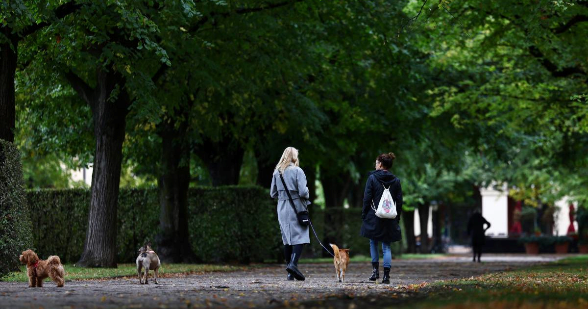 Gotovo svaki drugi Nijemac u tijeku života oboli od raka