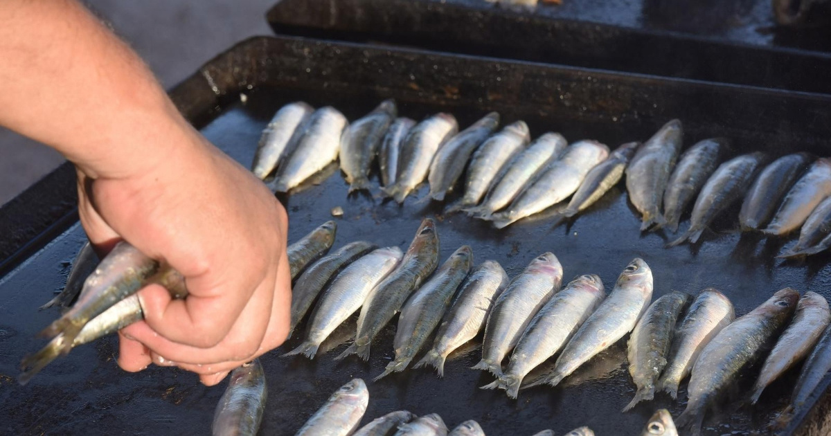 Liječnica otkrila koju namirnicu treba jesti umjesto masnog mesa