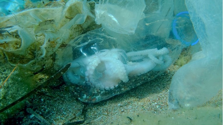 Dno oceana postalo je dugoročno odlagalište za veći dio plastičnog otpada