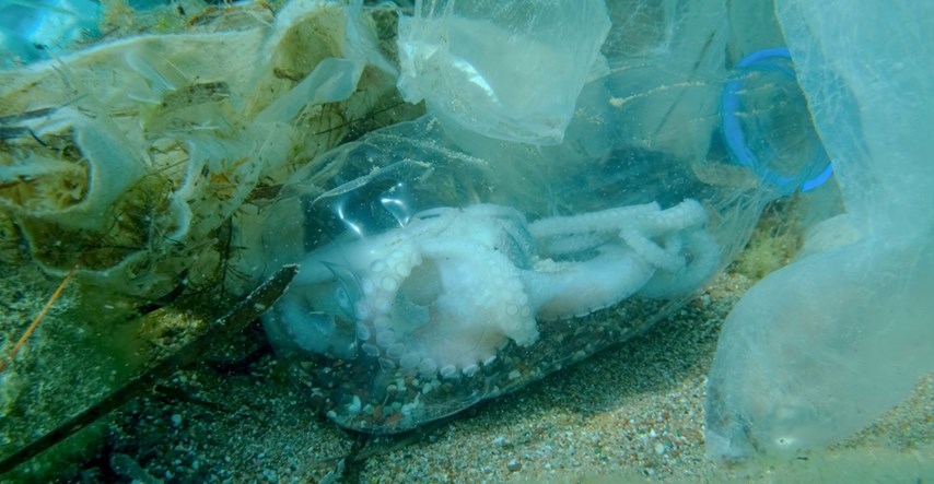 Istraživanje: Na morskom dnu nalazi se do 11 milijuna tona plastičnog otpada