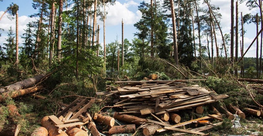 Zemlje članice EU kritizirale plan zaštite šuma: Moramo misliti i na drvnu industriju