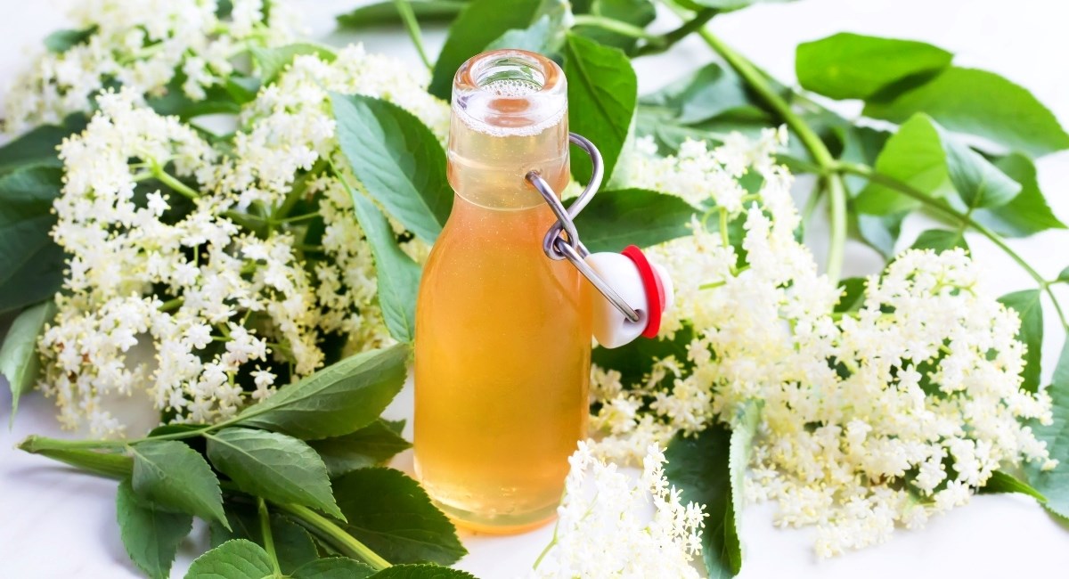 Sirovi plodovi ove popularne biljke mogu sadržavati cijanid