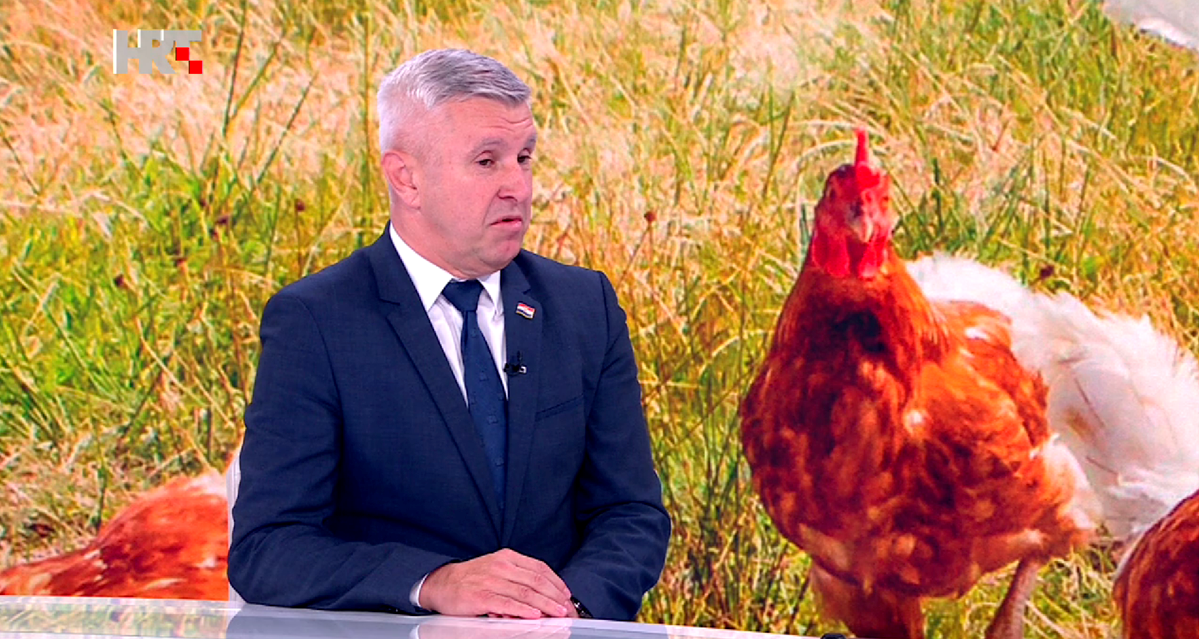 Državni tajnik: Ukrajinci odustali od Banovine. Ulagat će u Španjolsku i Sloveniju