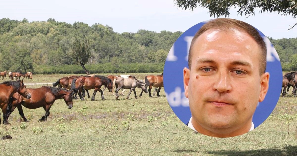 Vlajčić: Bedrenica je pod kontrolom, imali smo i konstruktivan sastanak sa stočarima