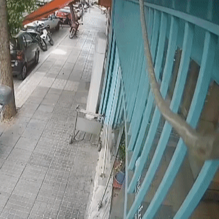 Potres jačine 6.3 u Grčkoj. Srušila se crkva, stižu snimke