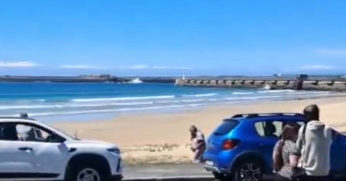 Morski pas usmrtio ženu (65) na popularnoj plaži u Južnoj Africi