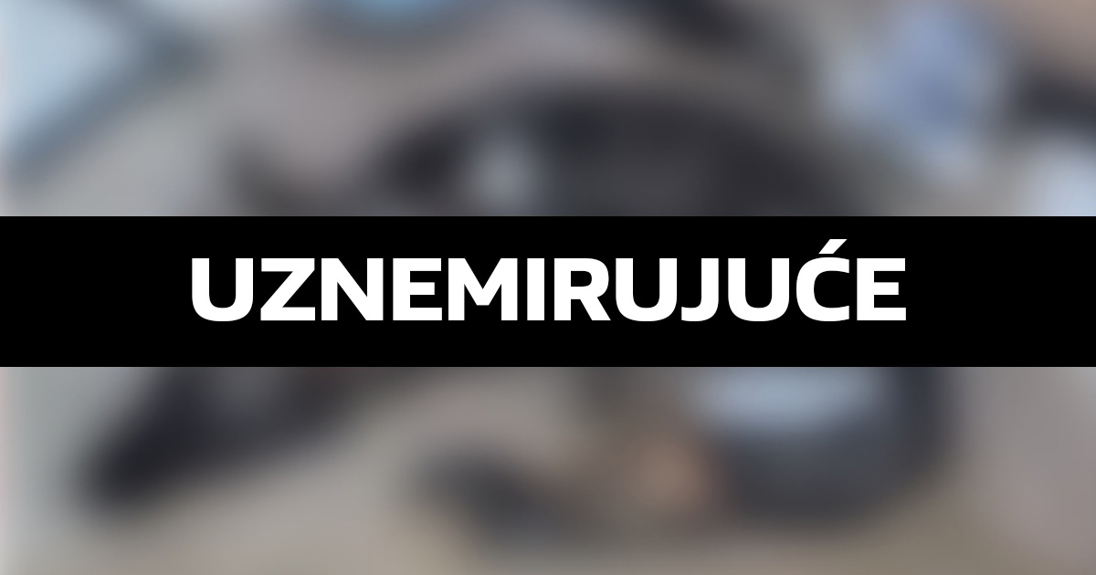Vatrogasac u Istri mučio pse, uginuli su. Zapovjednik: Osuđujemo nasilje, ali i linč