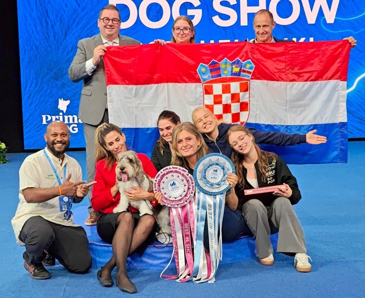 Meghan iz Hrvatske je najljepši pas na svijetu