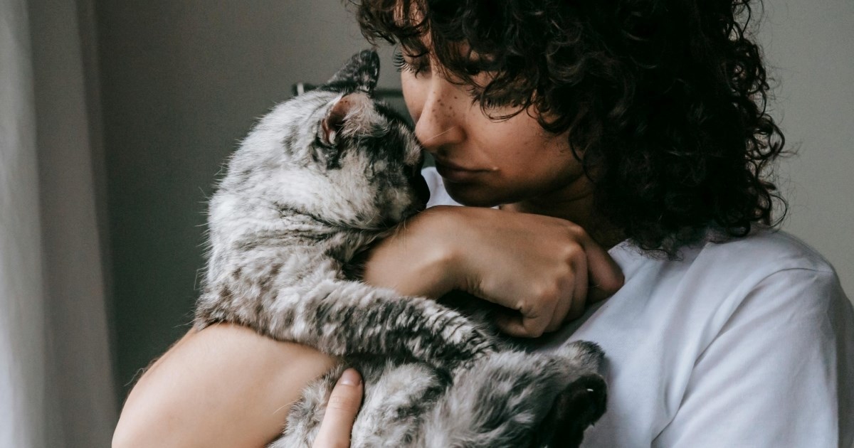 Znakovi koje ne smijemo ignorirati: Kako mačke prepoznaju bolest kod vlasnika?