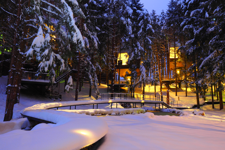 Plitvice Holiday Resort: Zimska čarolija u kućici na drvetu