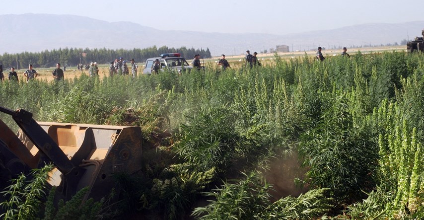 U Libanonu zaplijenjeno 25 tona trave