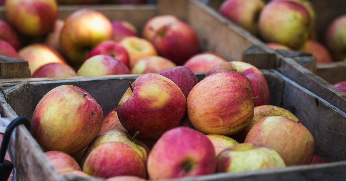 Osam jesenskih namirnica koje čuvaju zdravlje vašeg srca