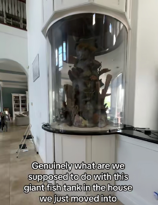 Uselila se u novu kuću pa pokazala što ju je dočekalo u kuhinji 😮