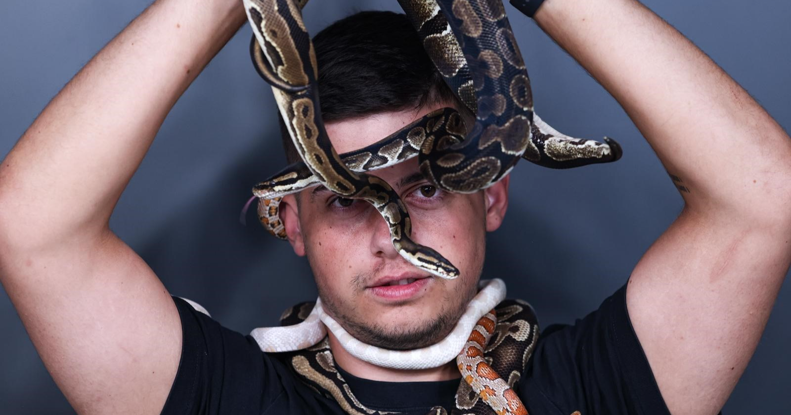 VIDEO Matej iz Zagreba živi s 21 pitonom