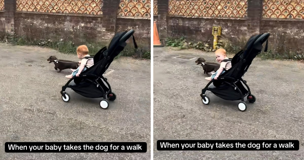 Mama snimila kako beba prvi put "šeće" psa. Simpatična snimka nasmijala tisuće