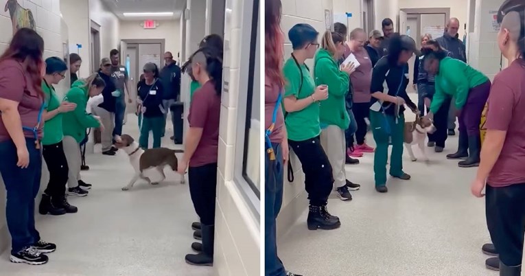 Pas iz skloništa konačno udomljen nakon 683 dana, volonteri ga ispratili uz suze