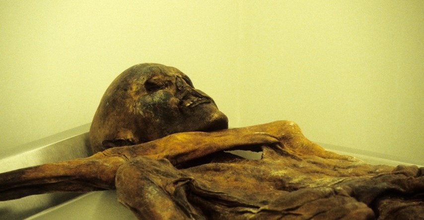 Istraživanje: Otzi, mumija pronađena '91. u Alpama, bio je tamnije puti i ćelav