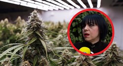 Njemačka dozvolila uzgoj marihuane. Mirela Holy: Tri biljke su premalo