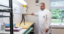 U Rugvici uskoro kreće gradnja tvornice za proizvodnju zmijskog protuotrova
