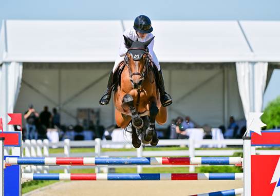 Najveći konjički događaj stže u Hrvatsku: u Samobor dolaze olimpiciji i čak 300 konja