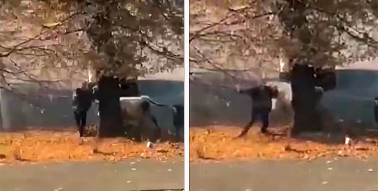 VIDEO Bik trčao centrom Slatine, snimljen trenutak u kojem je zamalo pregazio čovjeka