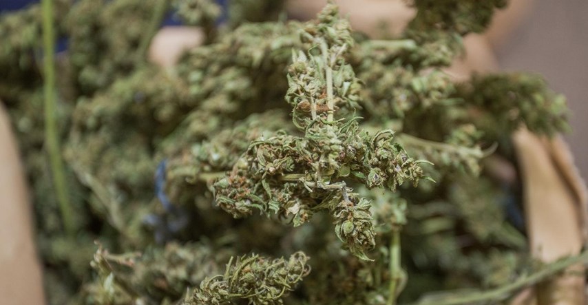 U Podgorici zaplijenjene dvije tone marihuane, uhićen vozač kamiona