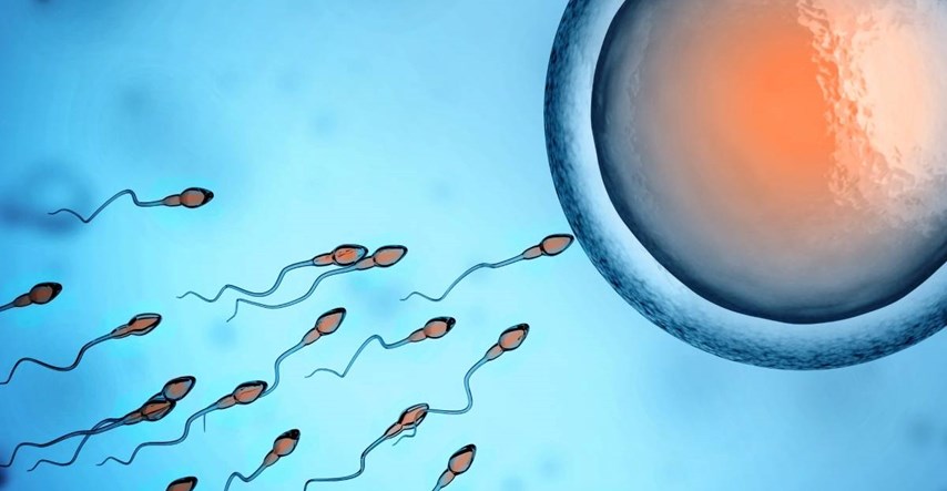 Jureći spermiji "krše" jedan od glavnih zakona fizike, tvrde znanstvenici