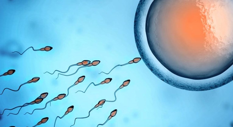 Znanstvenici uhvatili spermije kako krše jedan od glavnih zakona fizike?