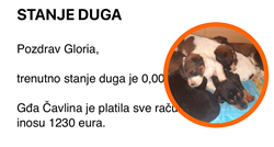 Potez koji vraća vjeru u ljude: Hrvatica platila sve račune udruzi za pomoć psima