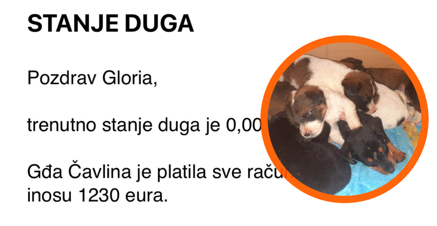 Potez koji vraća vjeru u ljude: Hrvatica platila sve račune udruzi za pomoć psima