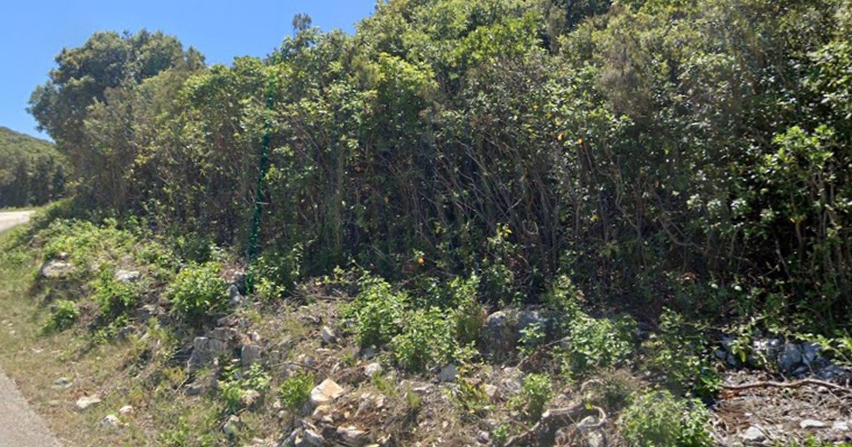 Policajac kod Dubrovnika propucan lovačkom puškom, bio u lovu s još dva muškarca