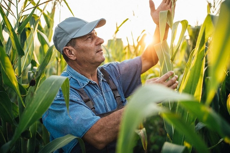 Dobra vijest za poljoprivrednike: CROATIA osiguranje lansiralo osiguranje od suše