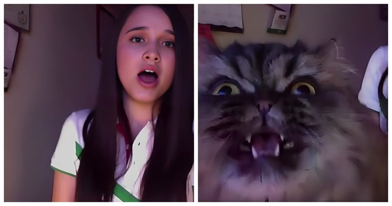 44 milijuna pregleda: Operna pjevačica i njezina mačka postale su hit na internetu