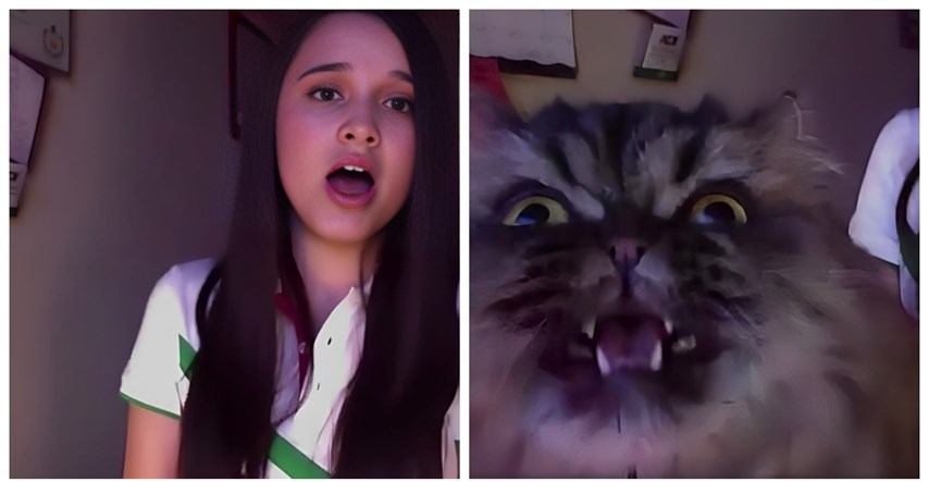 44 milijuna pregleda: Operna pjevačica i njezina mačka postale su hit na internetu