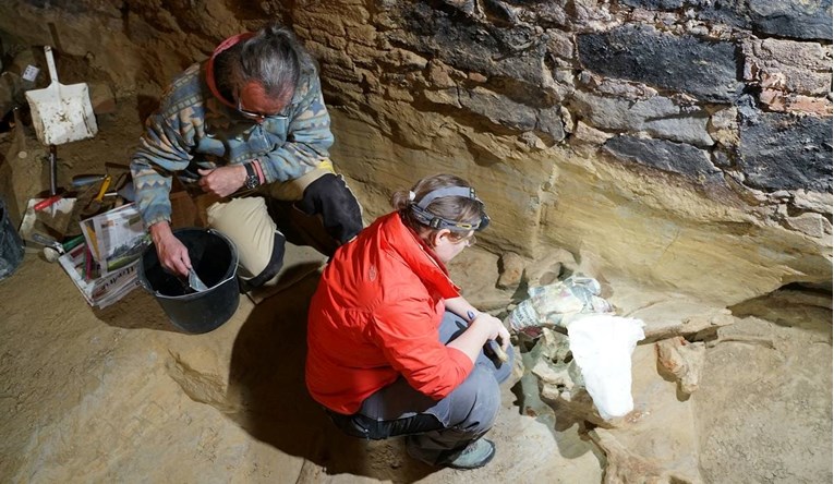 FOTO Austrijski vinar renovirao podrum. Pronašao kosti drevnog mamuta