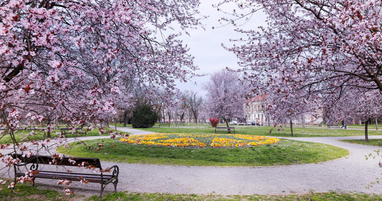 FOTO Sve je u cvatu: Ovako izgleda proljetna idila u Osijeku