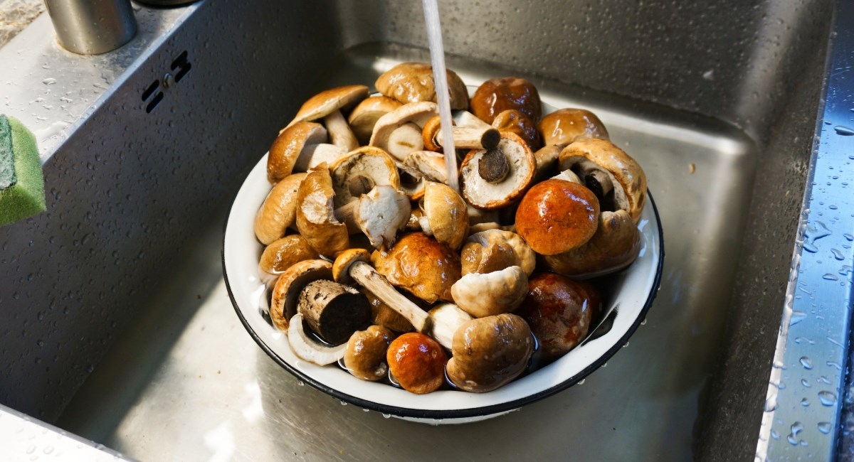 Perete li gljive prije kuhanja ili mislite da je to besmislica? Evo istine